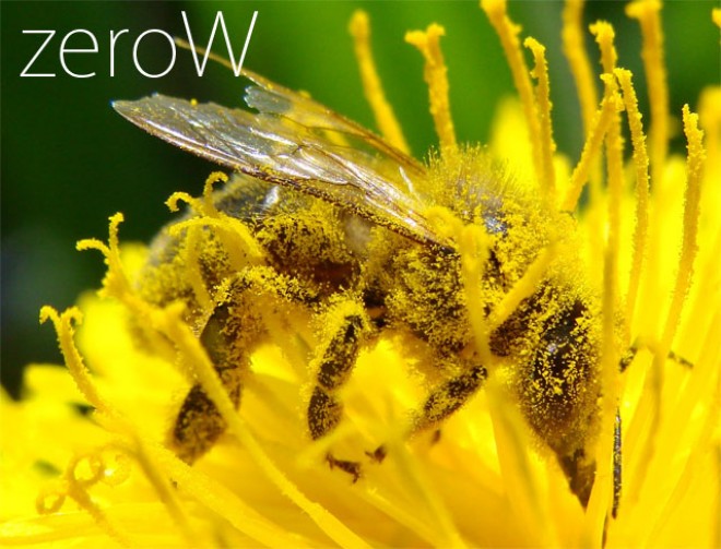 zerow(2)