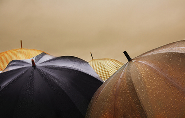 parapluies