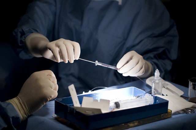 stem-cells