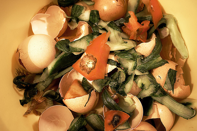 rotten food 2