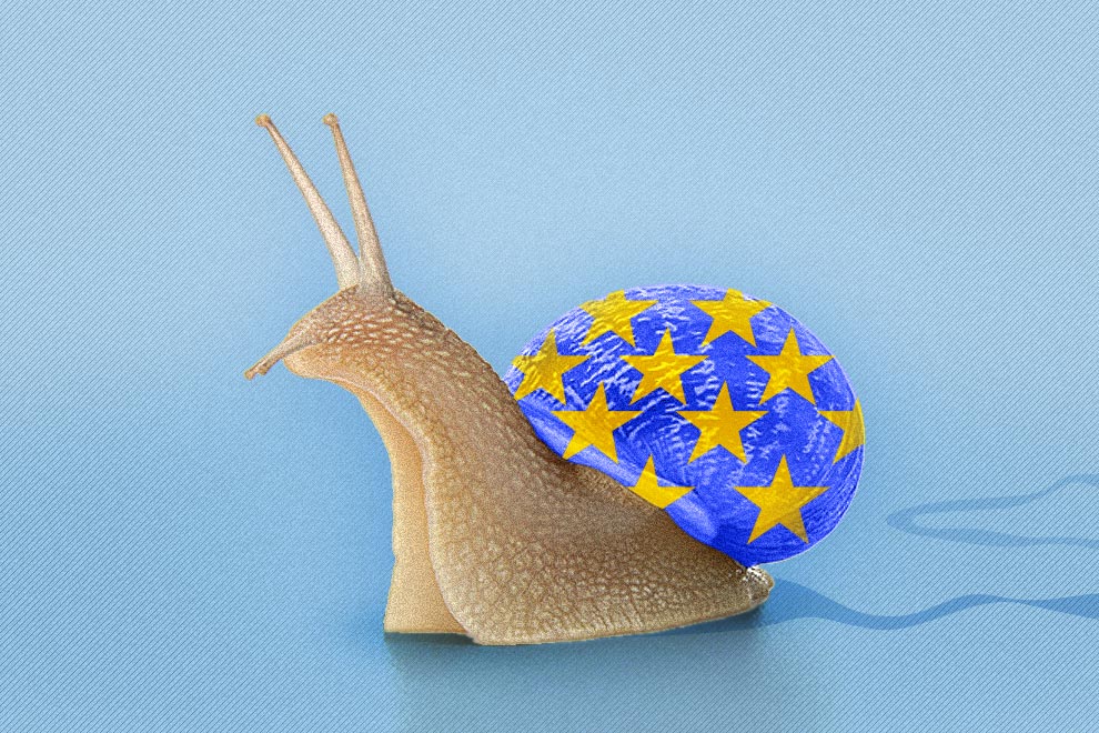 Escargot_europeen