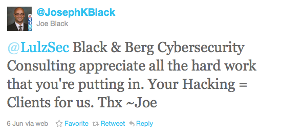 lulz cybersecurity